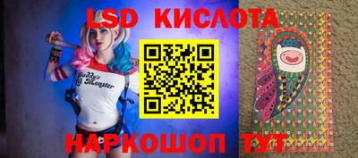 кокс Кингисепп
