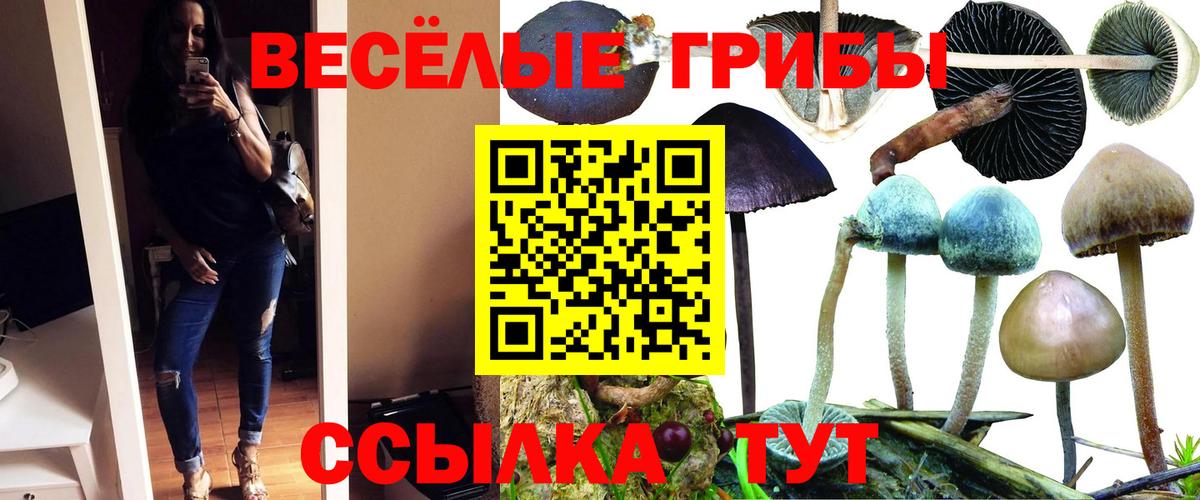 Клинцы  где продают наркотики  Вход с VPN  Галлюциногенные грибы мухоморы  Псилоцибиновые грибы мухоморы 